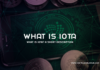 What is IOTA
