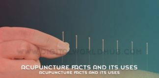 Acupuncture Facts And Its Uses