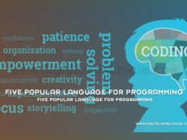 Five Popular Language for Programming