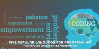 Five Popular Language for Programming