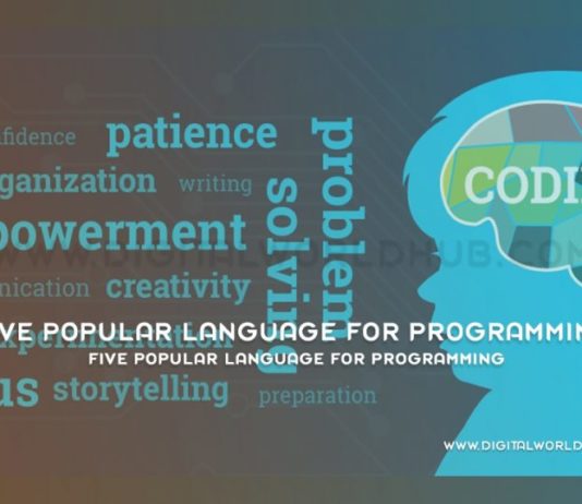 Five Popular Language for Programming