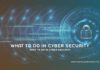 What To Do In Cyber Security