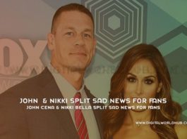 John Cena Nikki Bella Split Sad News For Fans