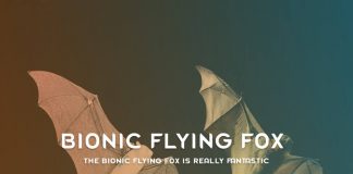 The Bionic Flying Fox Is Really Fantastic