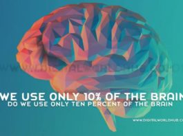 Do We Use Only Ten Percent Of The Brain