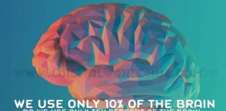 Do We Use Only Ten Percent Of The Brain