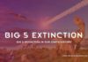 Big 5 Extinction In Our Earth History