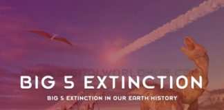 Big 5 Extinction In Our Earth History