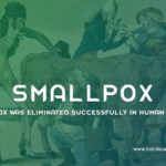 Smallpox Was Eliminated Successfully In Human History