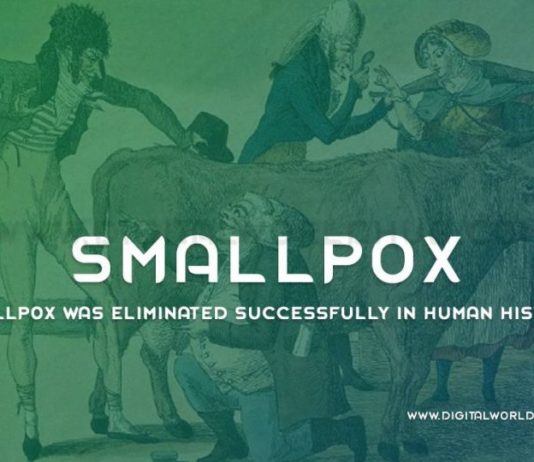 Smallpox Was Eliminated Successfully In Human History