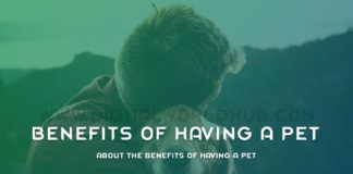 About The Benefits Of Having A Pet