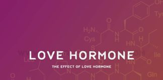 The Effect Of Love Hormone