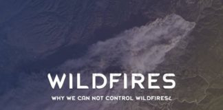 Why-We-Can-Not-Control-Wildfires