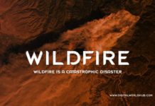 Wildfire-Is-A-Catastrophic-Disaster
